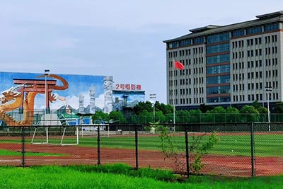 报名表报名查询